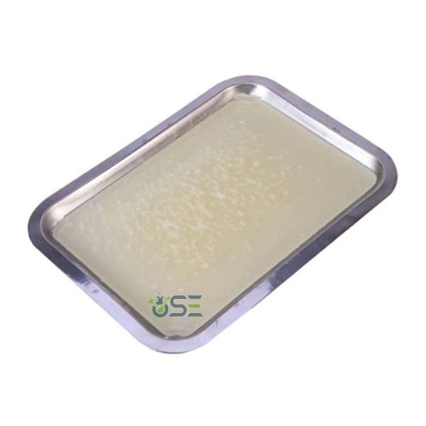 Stainless Dissection Tray
