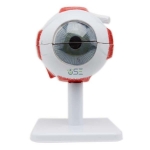 3 Times Human Eye Model