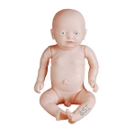 Newborn Model